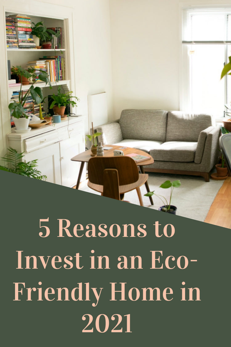 5 Reasons to Invest in an Eco-Friendly Home in 2021
